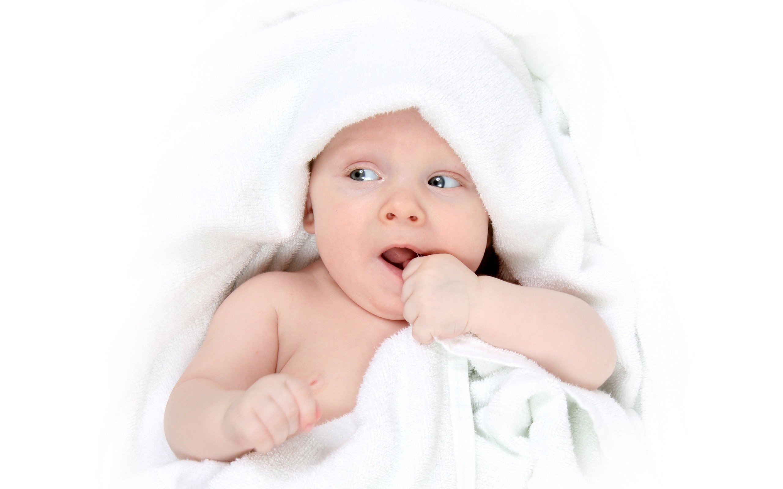 捐卵联系方式供精试管婴儿成功率